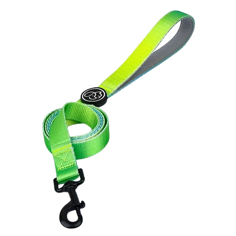 Everking Fancy Dog Leash - Green - Medium