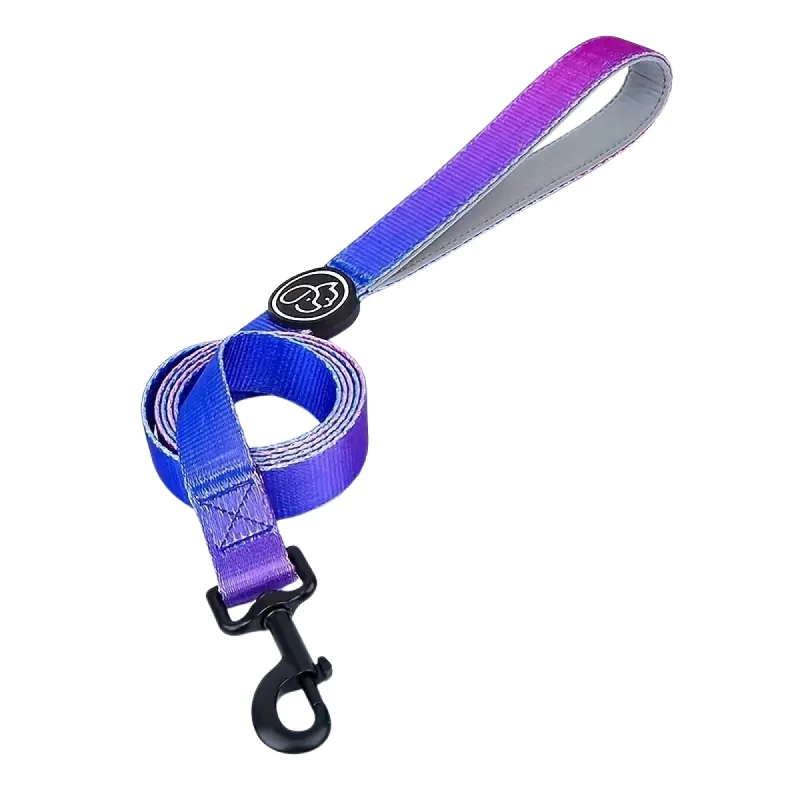 Everking Fancy Dog Leash - Purple - Medium