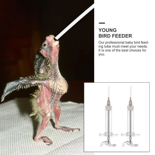 MLB66P- BABY BIRD FEEDER SYRINGES  EXTRA TUBE ONLY -PRICE 12-PIECS